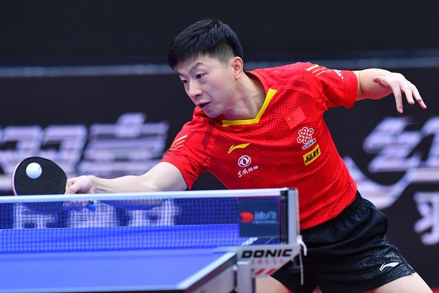 导向性的赛 导向性的赛